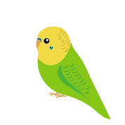 vogel